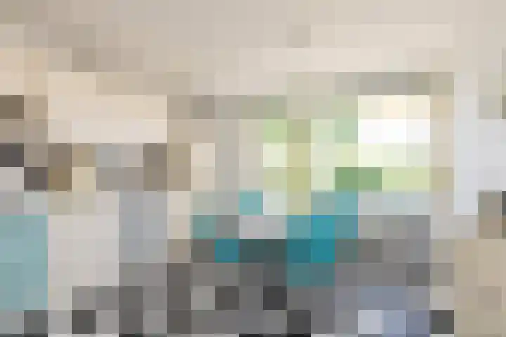 De Bou 23 Oppenhuizen thumbnail 7