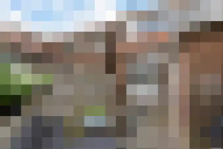 de Bourbonstraat 36 Sneek thumbnail 29