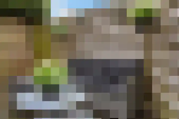 de Bourbonstraat 36 Sneek thumbnail 32