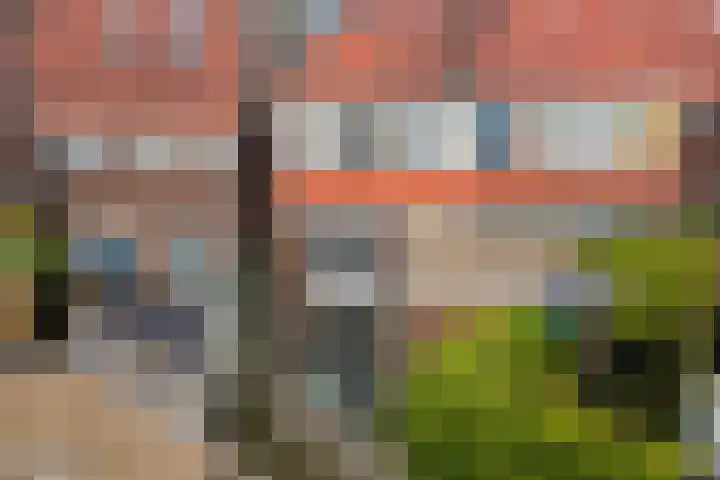 de Bourbonstraat 36 Sneek thumbnail 40