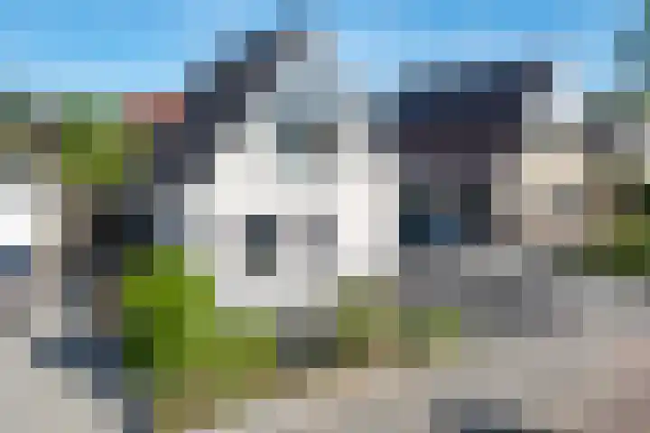 De Braak 9 Menaam thumbnail 13