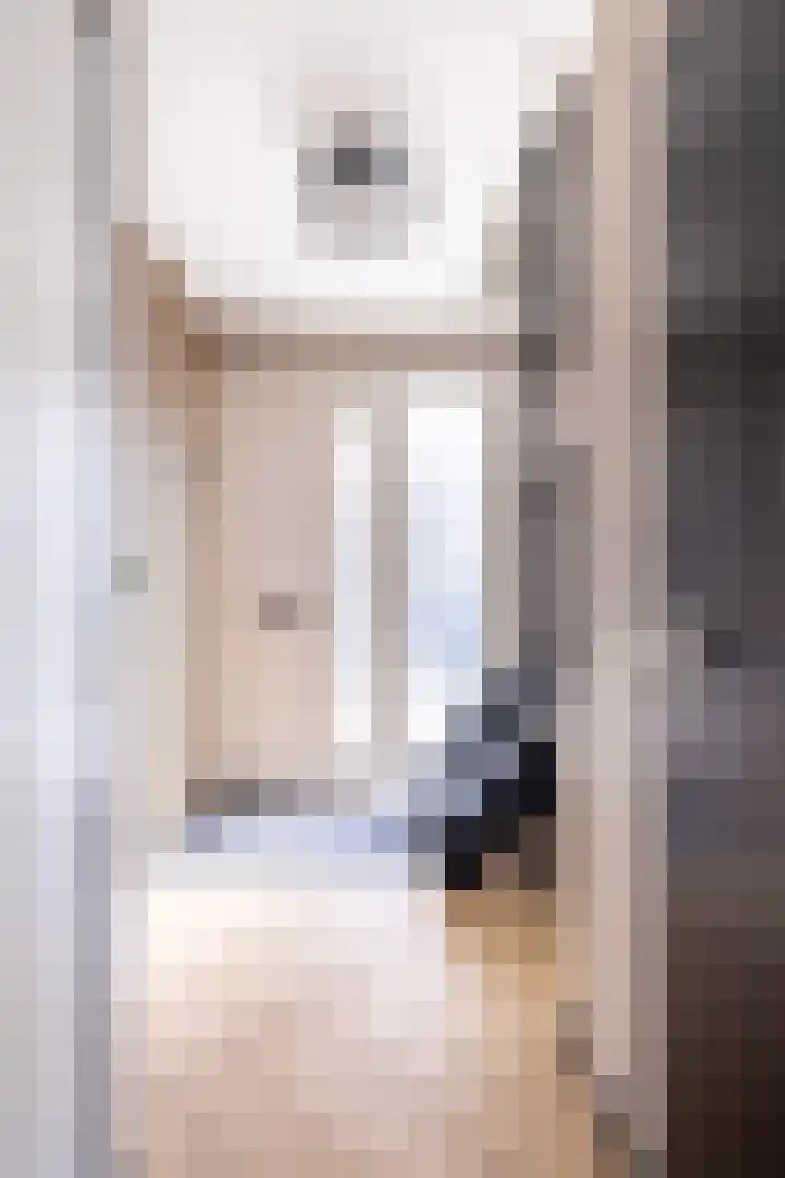 De Braak 9 Menaam thumbnail 14