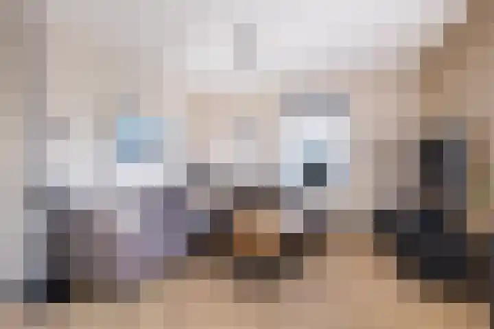 De Braak 9 Menaam thumbnail 22