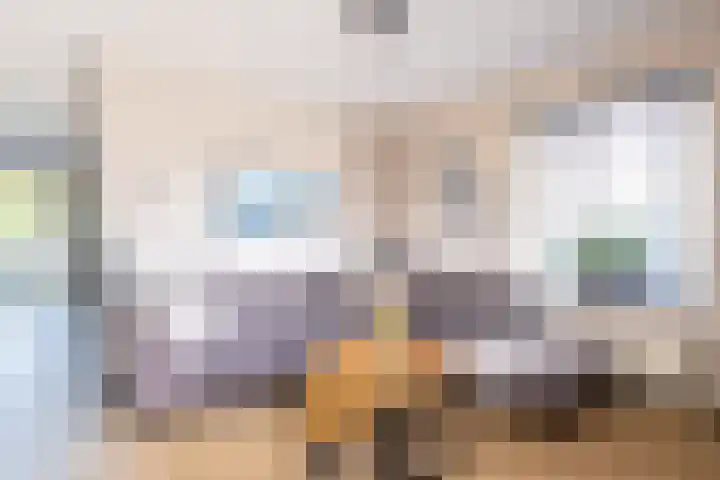 De Braak 9 Menaam thumbnail 23