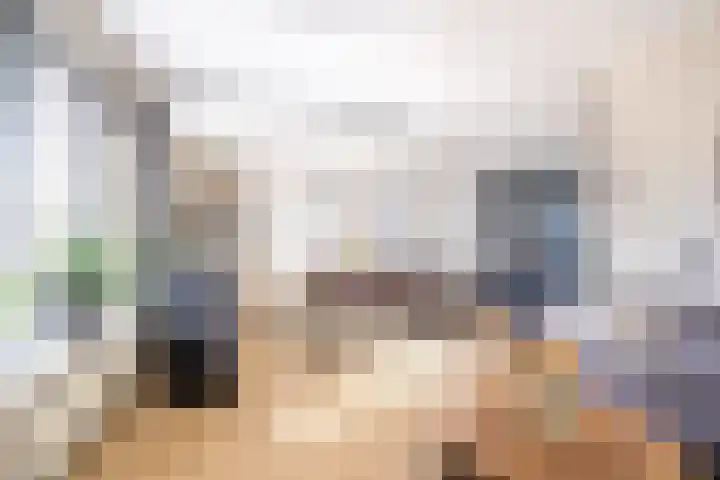 De Braak 9 Menaam thumbnail 24
