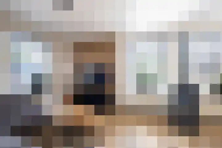 De Braak 9 Menaam thumbnail 26