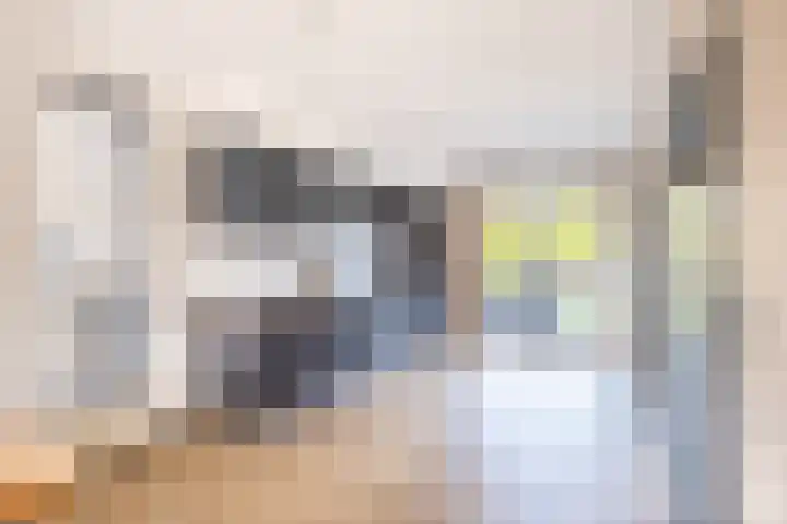 De Braak 9 Menaam thumbnail 27