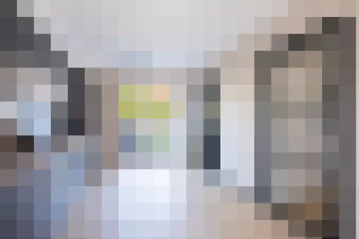 De Braak 9 Menaam thumbnail 28