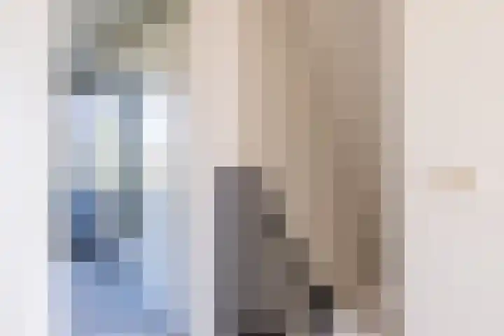 De Braak 9 Menaam thumbnail 33