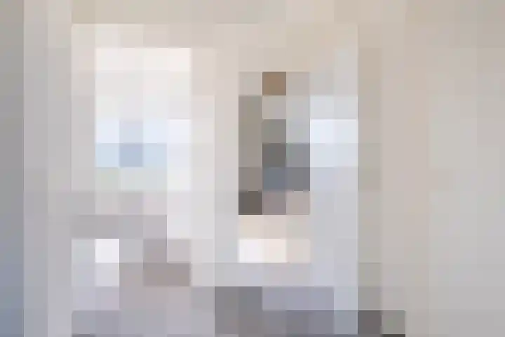 De Braak 9 Menaam thumbnail 34