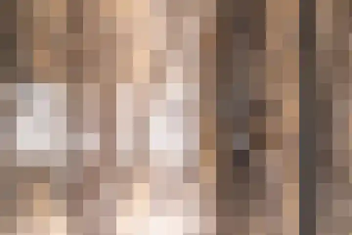 De Braak 9 Menaam thumbnail 41