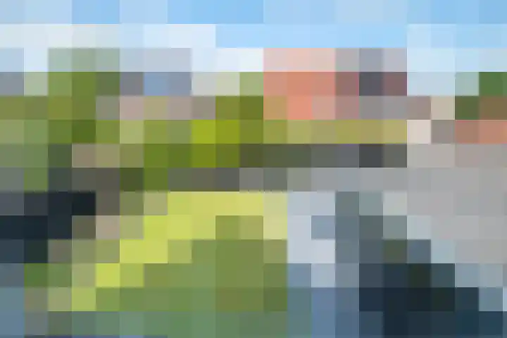 De Braak 9 Menaam thumbnail 45