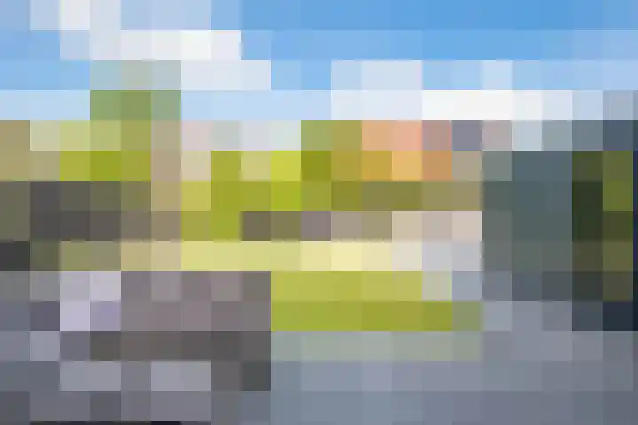 De Braak 9 Menaam thumbnail 46