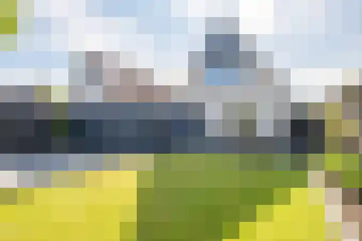 De Braak 9 Menaam thumbnail 49