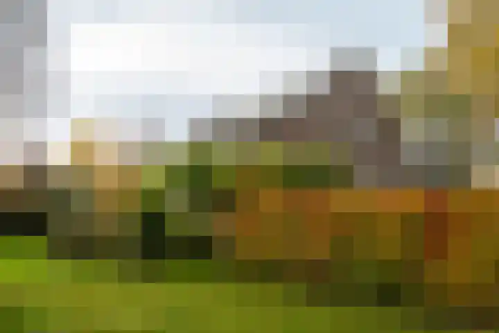 De Braakweg 106 Enschede thumbnail 51