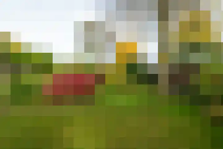 De Braakweg 106 Enschede thumbnail 58