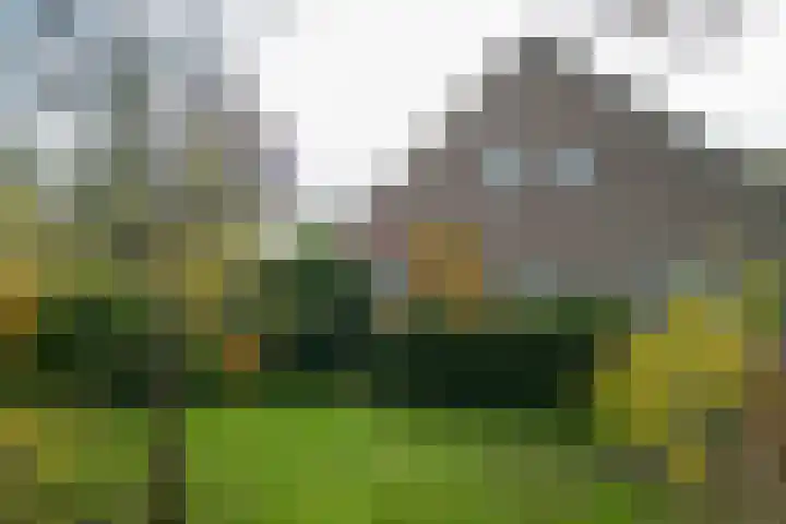 De Braakweg 106 Enschede thumbnail 59