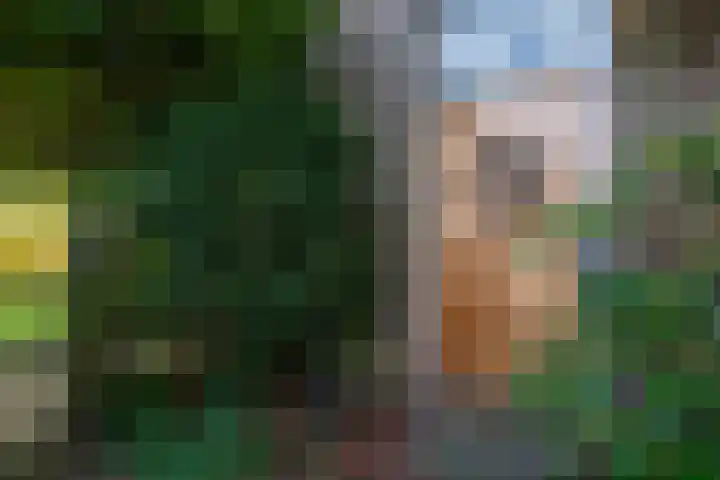 De Braakweg 106 Enschede thumbnail 6