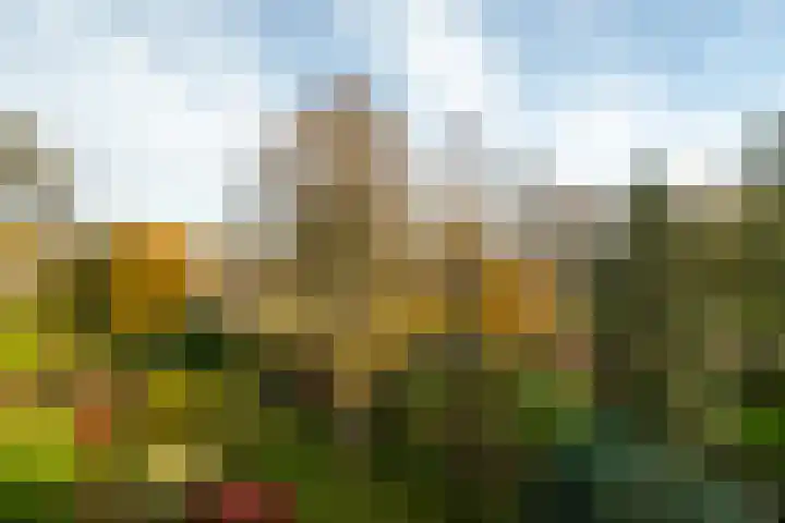De Braakweg 106 Enschede thumbnail 60