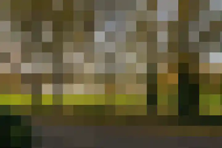 De Braakweg 106 Enschede thumbnail 61