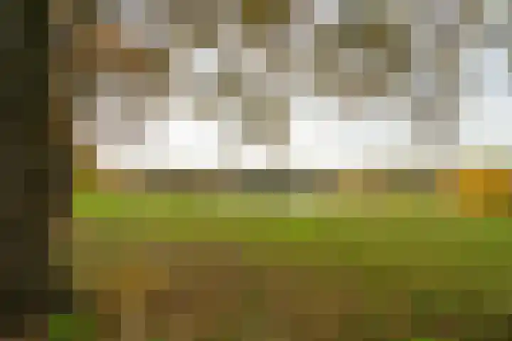 De Braakweg 106 Enschede thumbnail 62