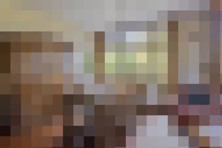 De Braakweg 140 Enschede thumbnail 11