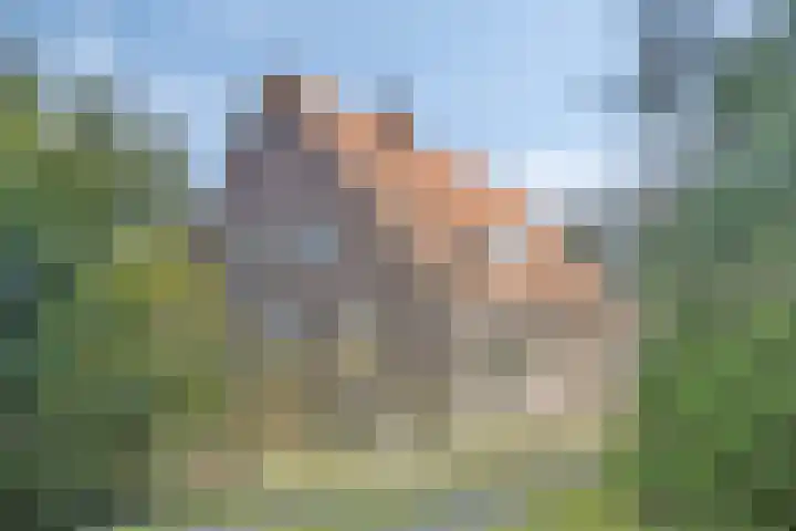 De Braakweg 140 Enschede thumbnail 36