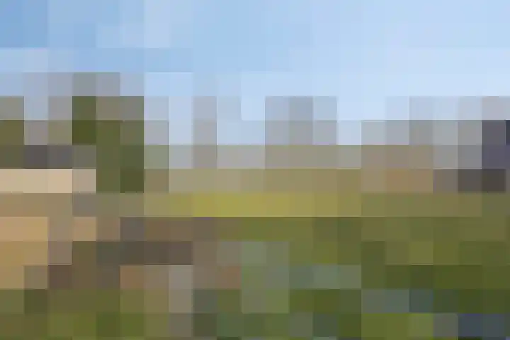 De Braakweg 140 Enschede thumbnail 43