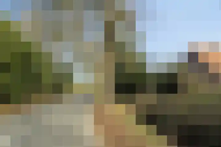 De Braakweg 140 Enschede thumbnail 46
