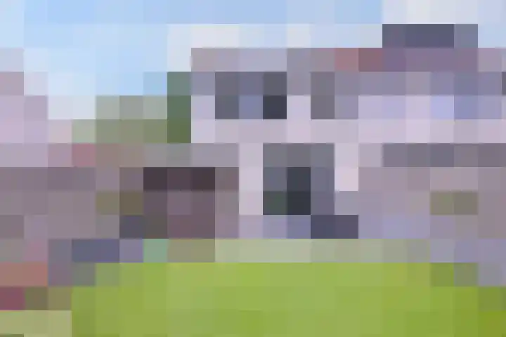 De Braam 11 Deventer thumbnail 31