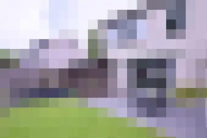 De Braam 11 Deventer thumbnail 32
