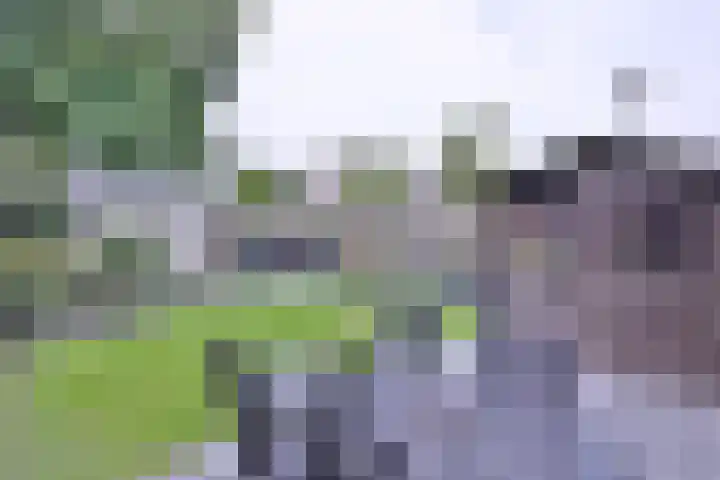De Braam 11 Deventer thumbnail 33