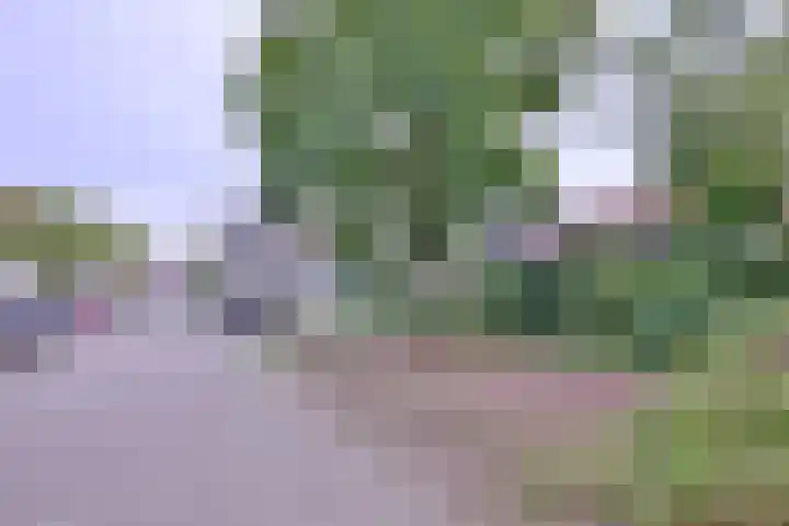 De Braam 11 Deventer thumbnail 38