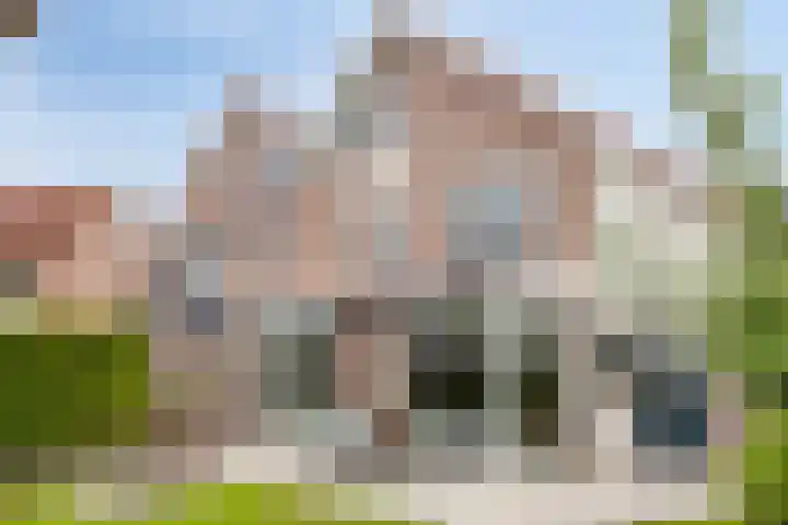 De Braam 84 Deventer thumbnail 27
