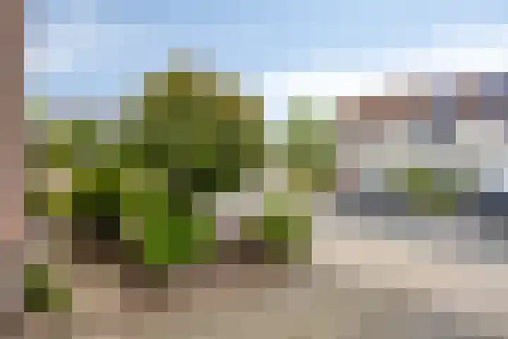 De Braam 84 Deventer thumbnail 31