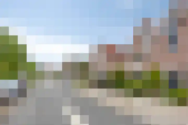 De Braam 84 Deventer thumbnail 33