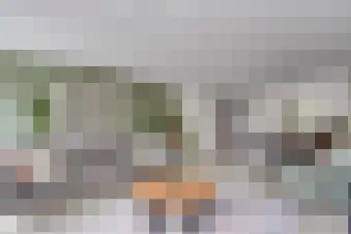 De Braam 84 Deventer thumbnail 7