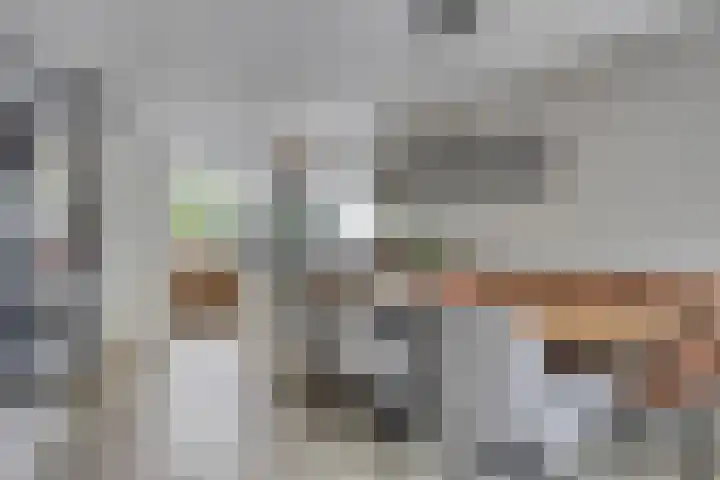 De Braam 84 Deventer thumbnail 9