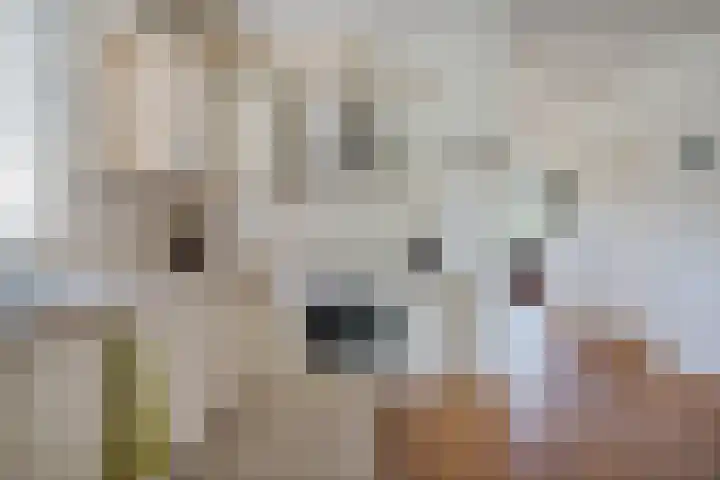de Braambrink 7 Paasloo thumbnail 11