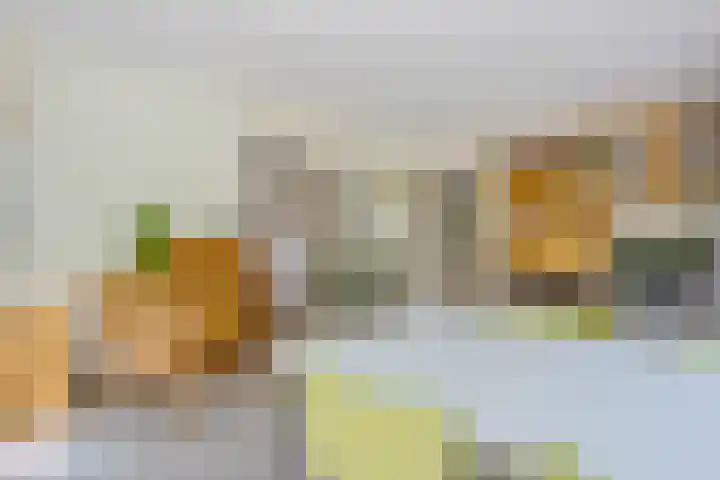de Braambrink 7 Paasloo thumbnail 15
