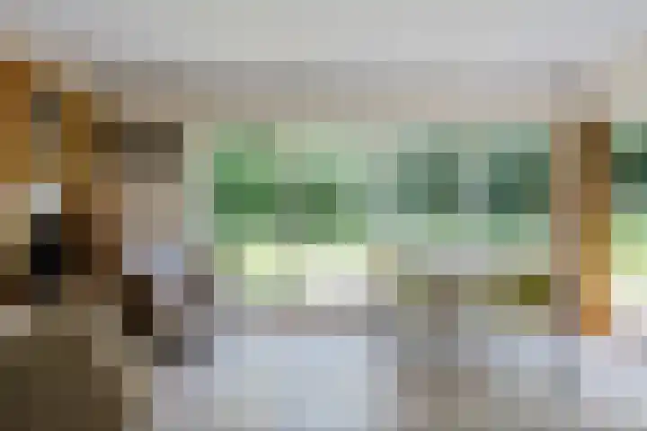 de Braambrink 7 Paasloo thumbnail 16