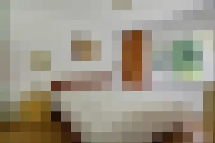 de Braambrink 7 Paasloo thumbnail 17