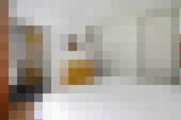 de Braambrink 7 Paasloo thumbnail 19