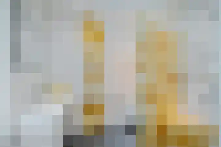 de Braambrink 7 Paasloo thumbnail 20