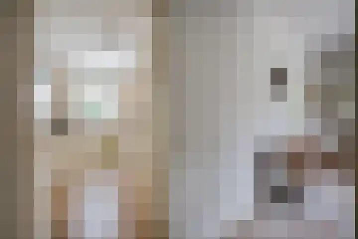 de Braambrink 7 Paasloo thumbnail 24