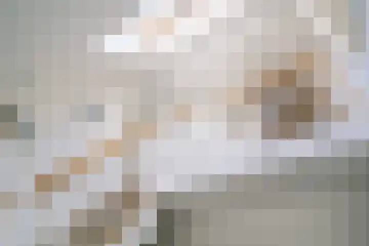 de Braambrink 7 Paasloo thumbnail 25