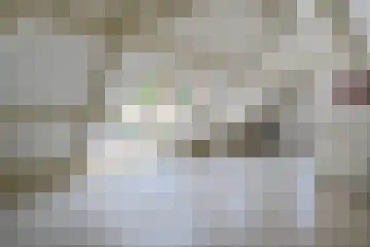de Braambrink 7 Paasloo thumbnail 26