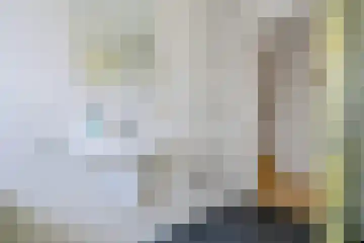 de Braambrink 7 Paasloo thumbnail 38