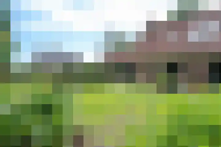 de Braambrink 7 Paasloo thumbnail 39