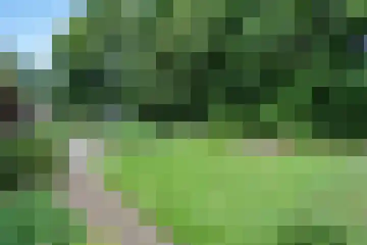 de Braambrink 7 Paasloo thumbnail 42